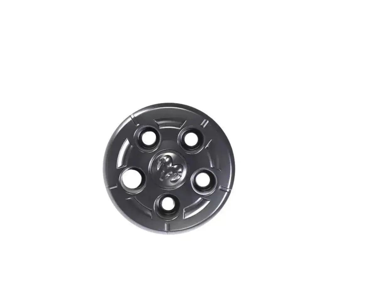 FANCHANTS Dodge ProMaster Front 68414466AA Center Cap 68414466AA Compatible with Dodge ProMaster 1500 2014-2022 Dodge ProMaster 2500 2014-2022 Dodge ProMaster 3500 2014-2022 FANCHANTS China Auto Parts Wholesales