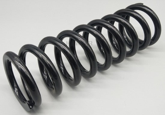 FANCHANTS 1075355 74 01 075 355 Spring for Renault Trucks Volvo F/FL 6 (-2000), F/FL/FM 7, FLC Volvo FH/FM/FMX/NH 9/10/11/12/13/16 FANCHANTS China Auto Parts Wholesales