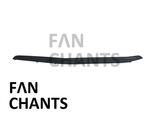 CHINA Factory Wholesale 2422576 TRIM STRIP LH for SCANIA 1995-2008 FANCHANTS China Auto Parts Wholesales
